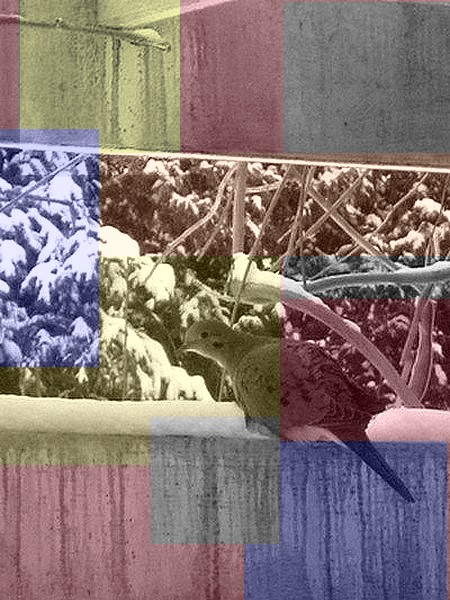 167801_179040205461985_2700688_n - Copy