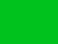 120px-F1_green_flag_svg