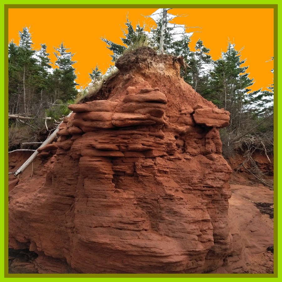 IMG_20210808_1650142 - Copy